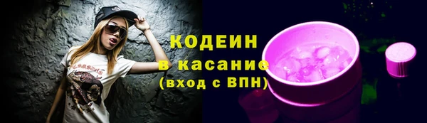 шишки Богородск