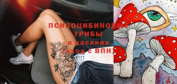 Альфа ПВП Кулебаки