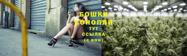 бошки Белокуриха