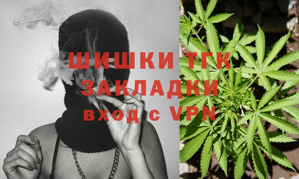 шишки Богородск