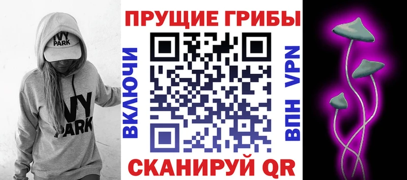Галлюциногенные грибы мицелий  продажа наркотиков  KRAKEN вход  Верещагино 