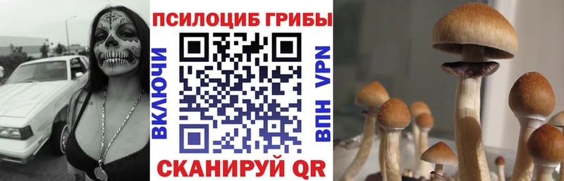 Галлюциногенные грибы мицелий Верещагино